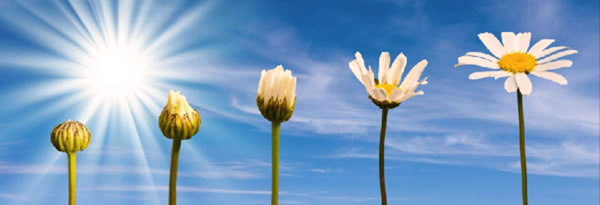 approche accompagnement et conseil